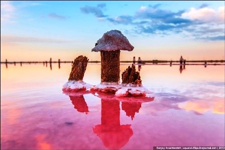 Rực rỡ khu đầm muối tuyệt đẹp ở bán đảo Crimean - 18 Đình Huế